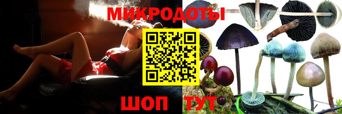 Ржев  Галлюциногенные грибы прущие грибы  Вход с VPN 